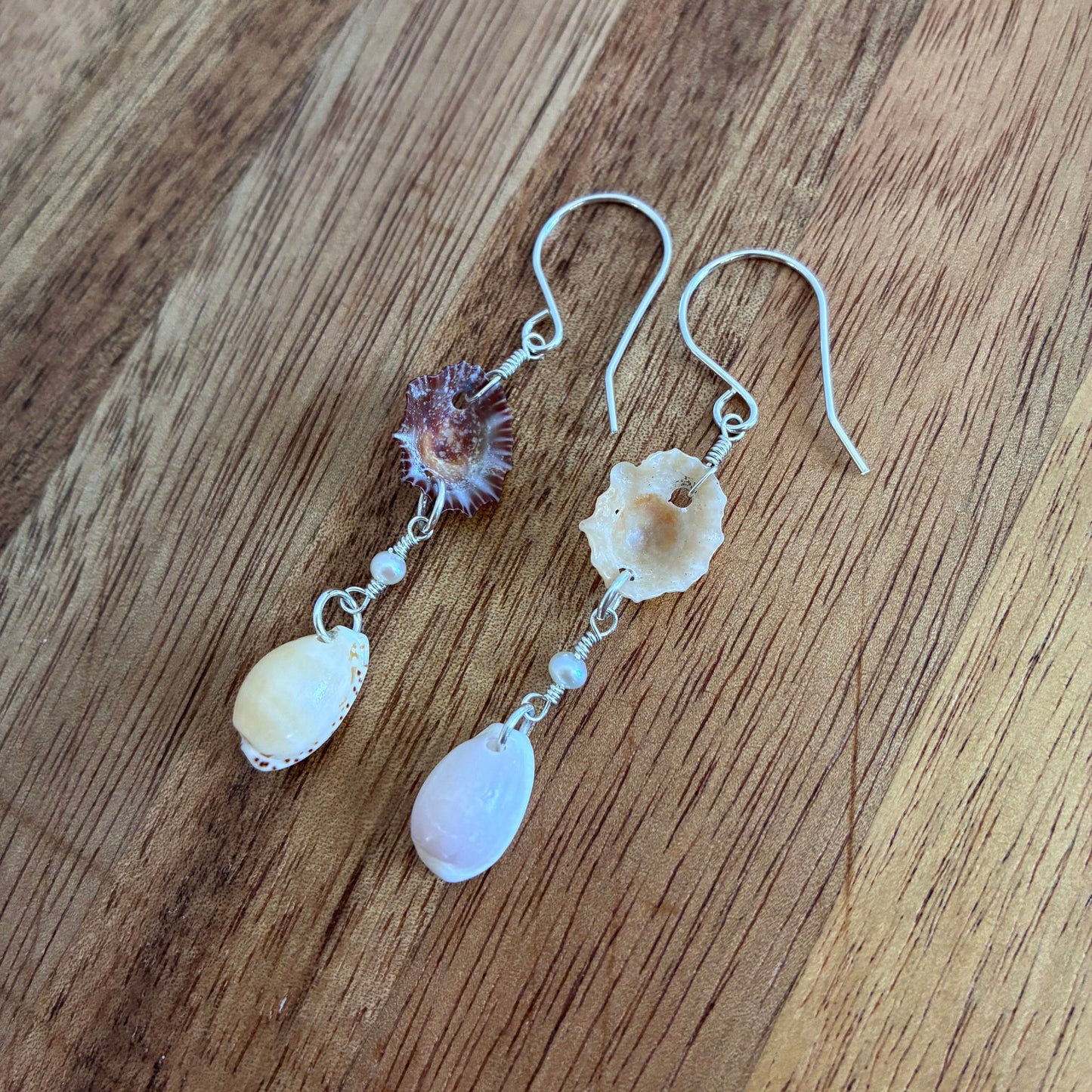 False Opihi & Cowrie Earrings