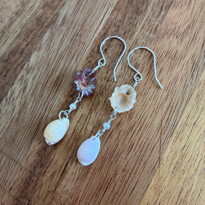False Opihi & Cowrie Earrings
