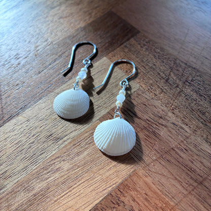 Beautiful Clam Shell Earrings