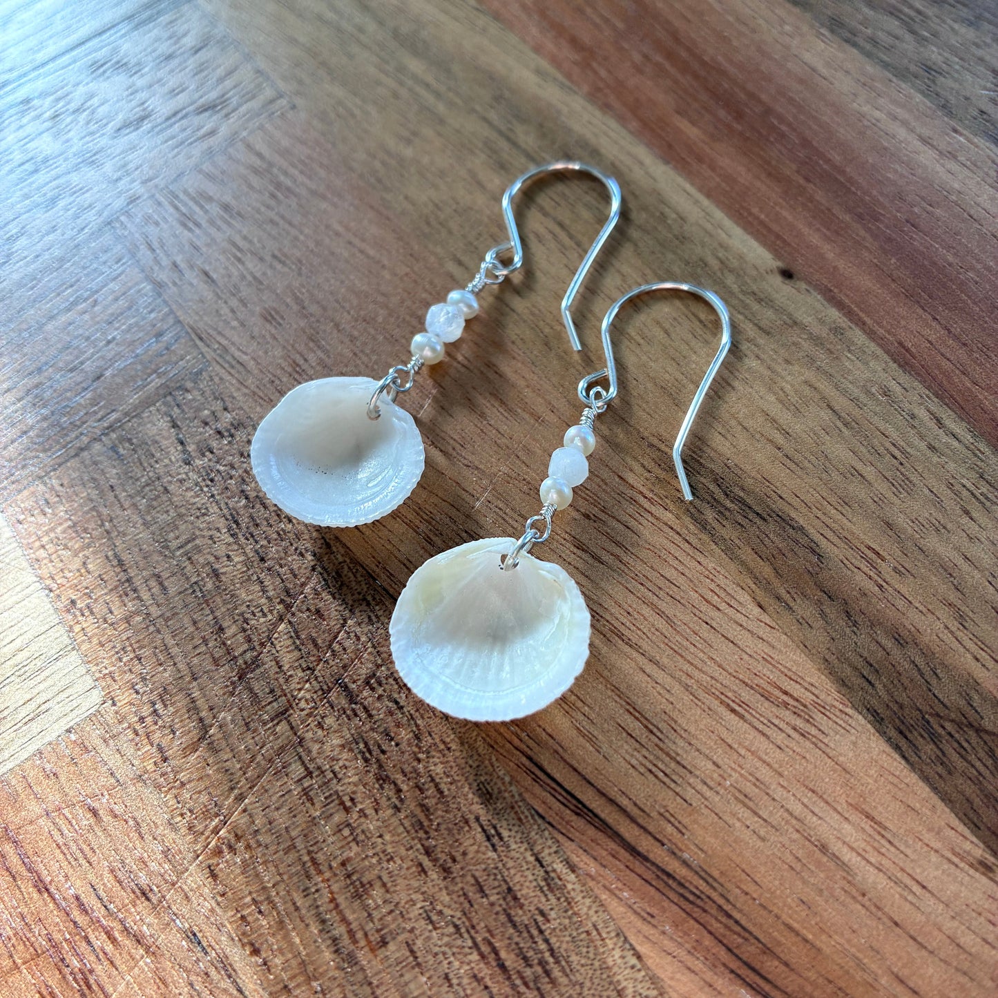 Beautiful Clam Shell Earrings