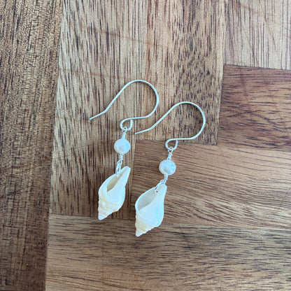 Stromb Shell Earrings
