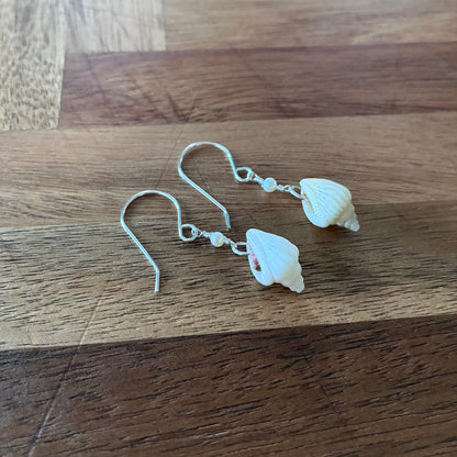 Hawaii Stromb Shell Earrings