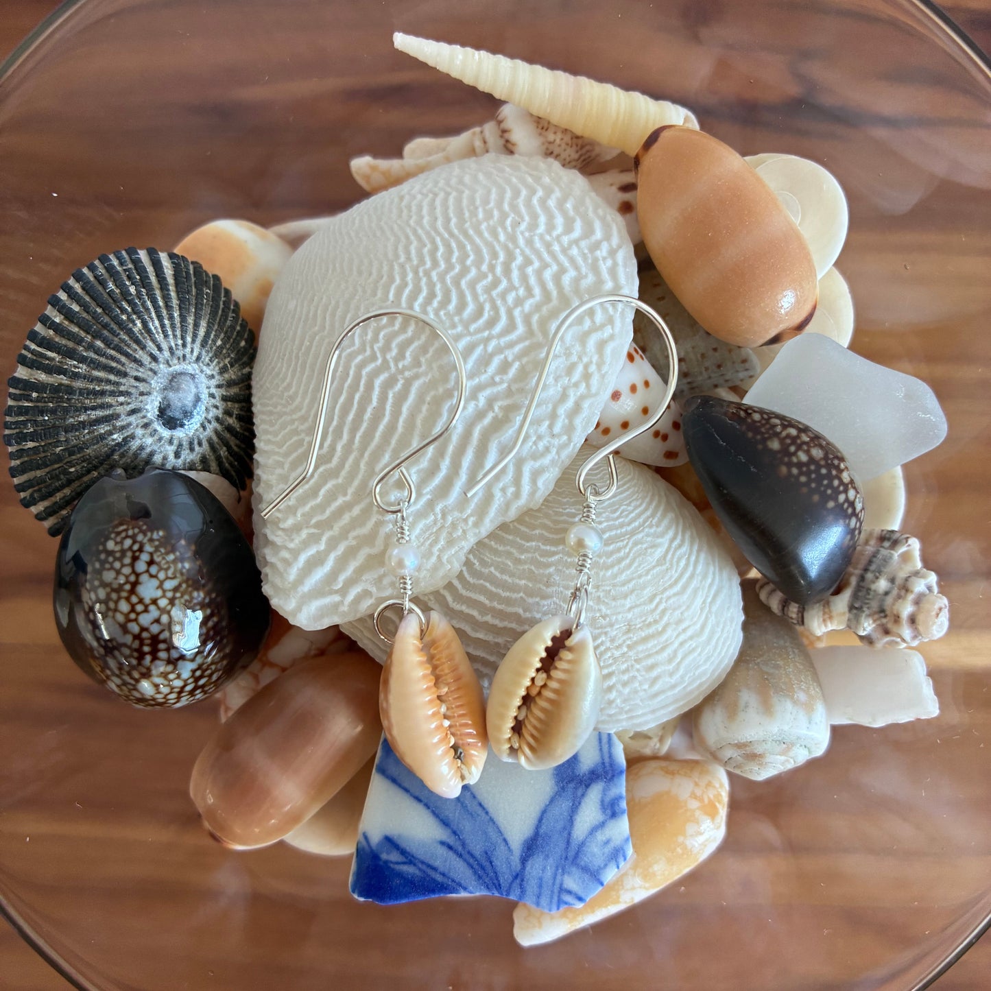 Honey Cowrie Shell Earrings