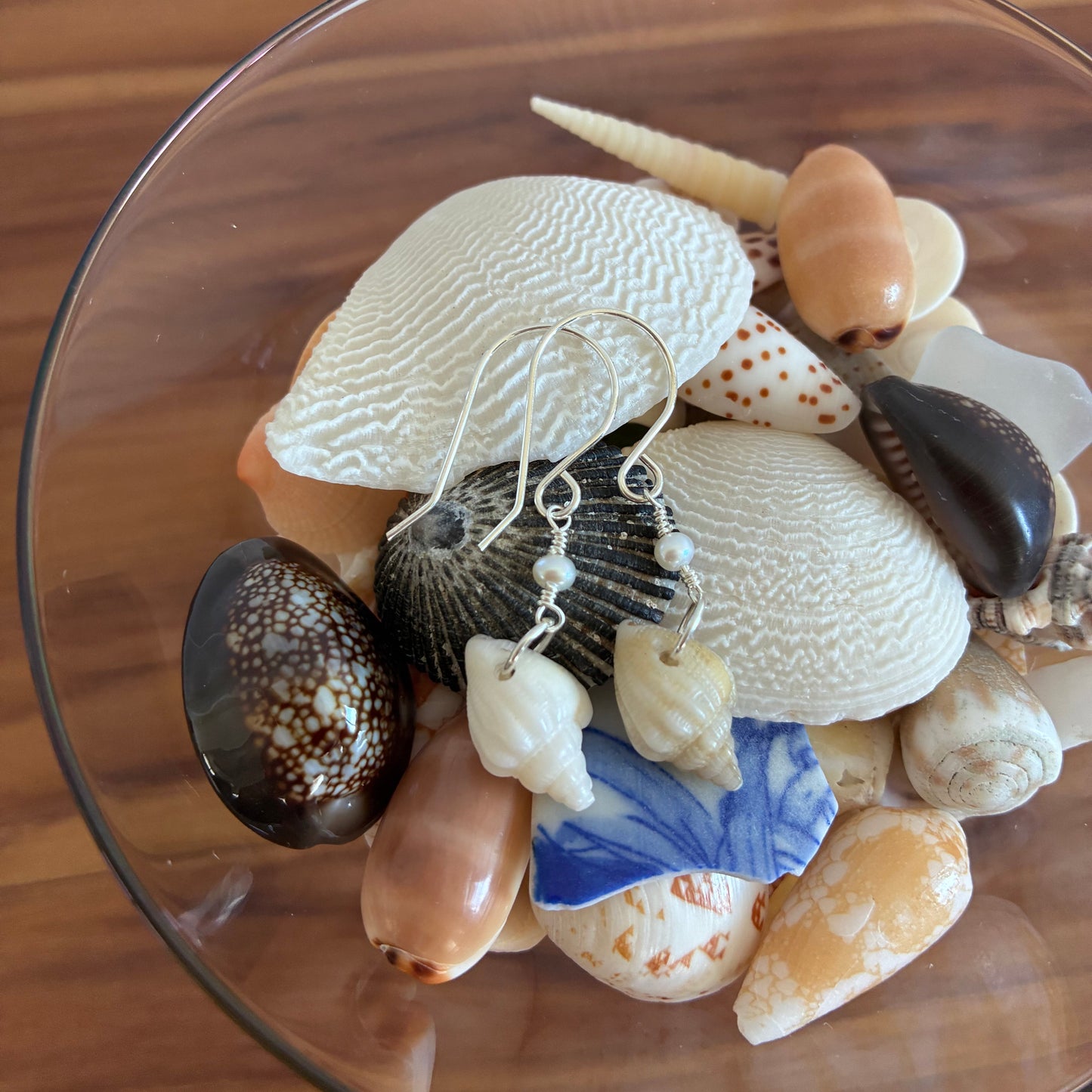 Hawaii Stromb Shell Earrings