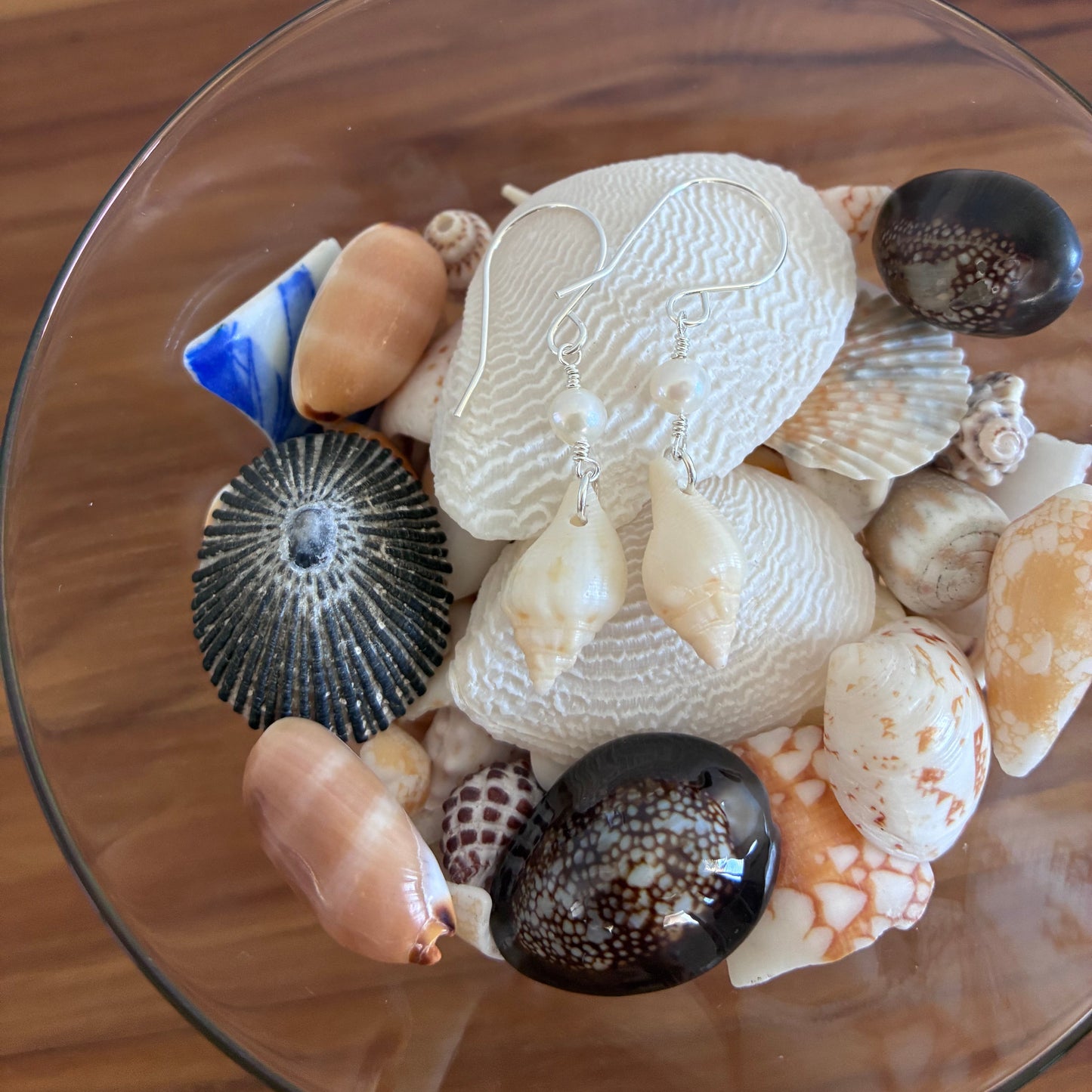 Stromb Shell Earrings
