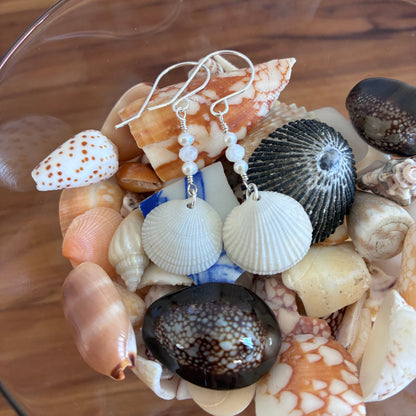 Beautiful Clam Shell Earrings