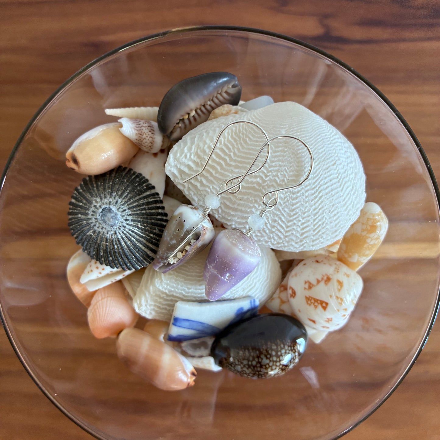 Mixed Cone Shell Earrings