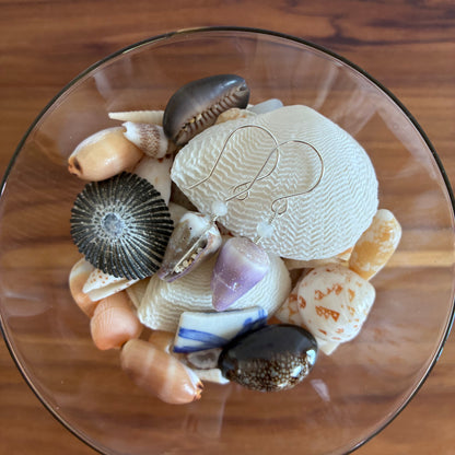 Mixed Cone Shell Earrings
