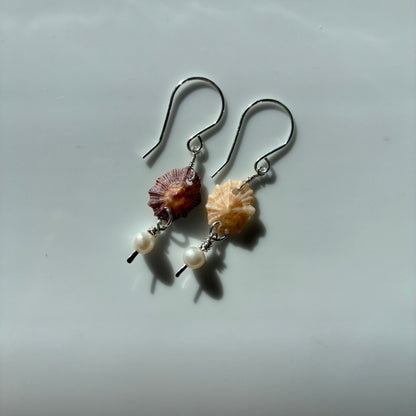 False Opihi & Pearl Earrings